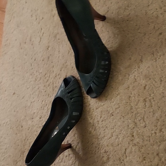 Calico - Picture 4 of 4